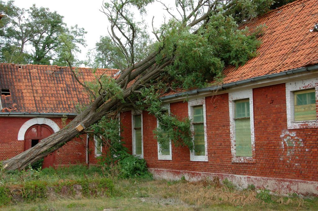 Sturmschaden - auf das richtige Vorgehen kommt es an